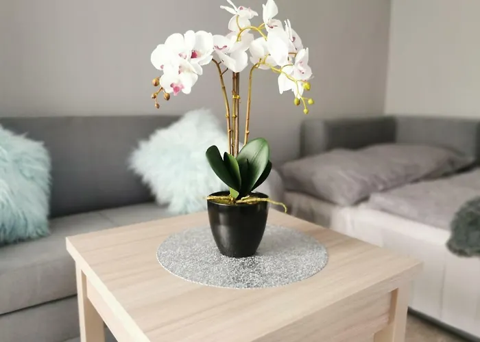 Apartment Gorska 8 - Blisko Centrum Swieradow-Zdroj